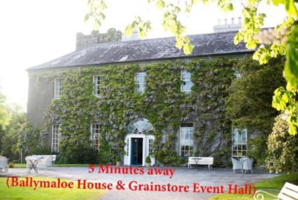Ashlee Lodge, Shanagarry P25K6R6 Near Ballymaloe House & Garryvoe Hotel 外观 照片