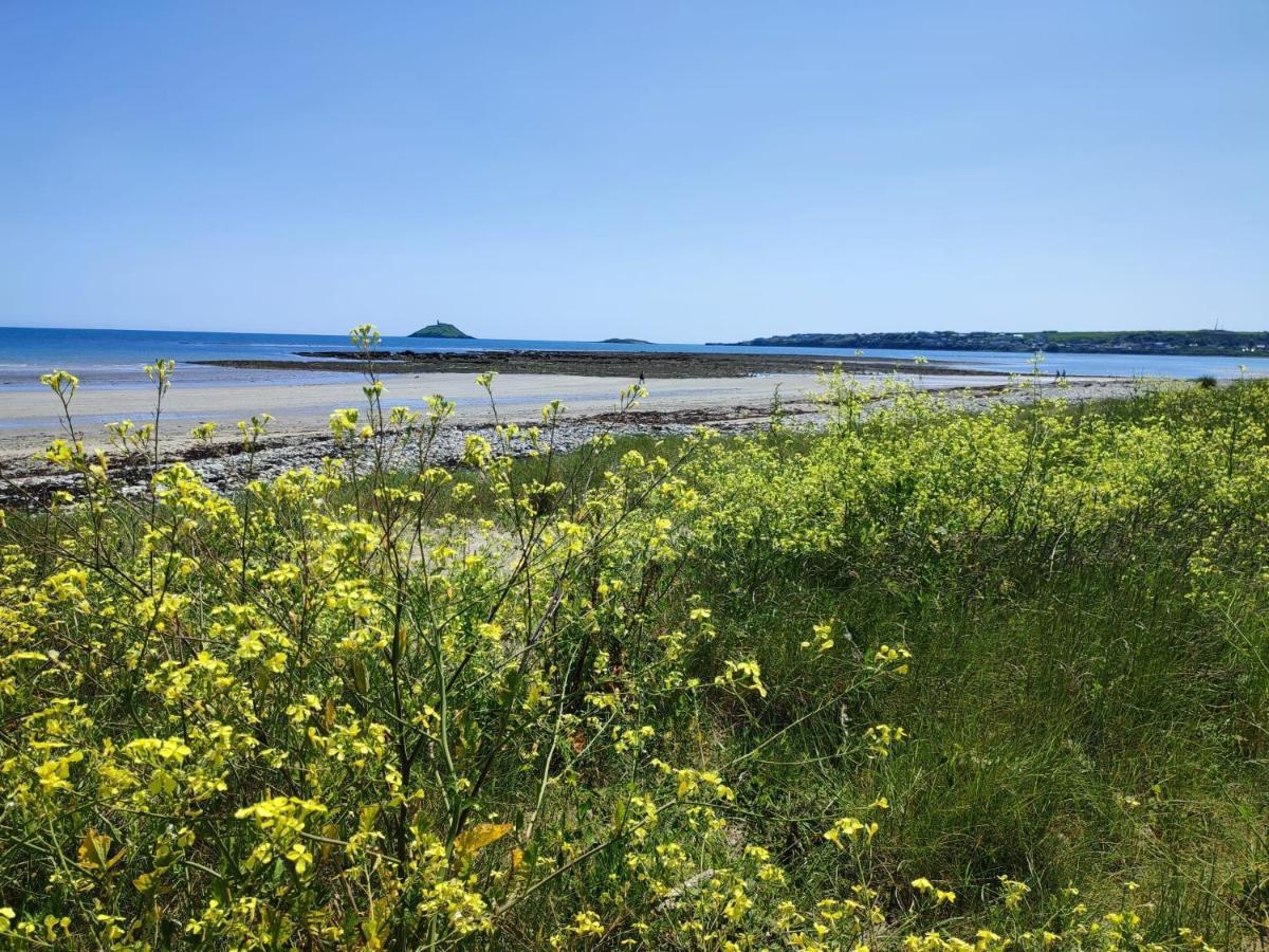 Ashlee Lodge, Shanagarry P25K6R6 Near Ballymaloe House & Garryvoe Hotel 外观 照片